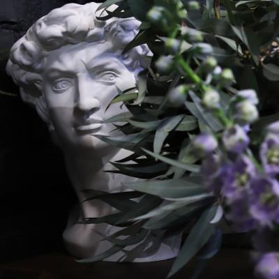 Foto Salona 01