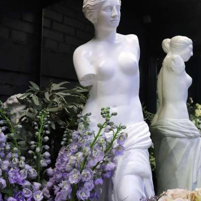 Foto Salona 02
